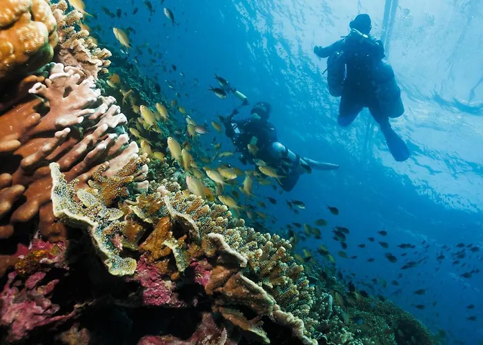 Cebu Seaview Dive Resort